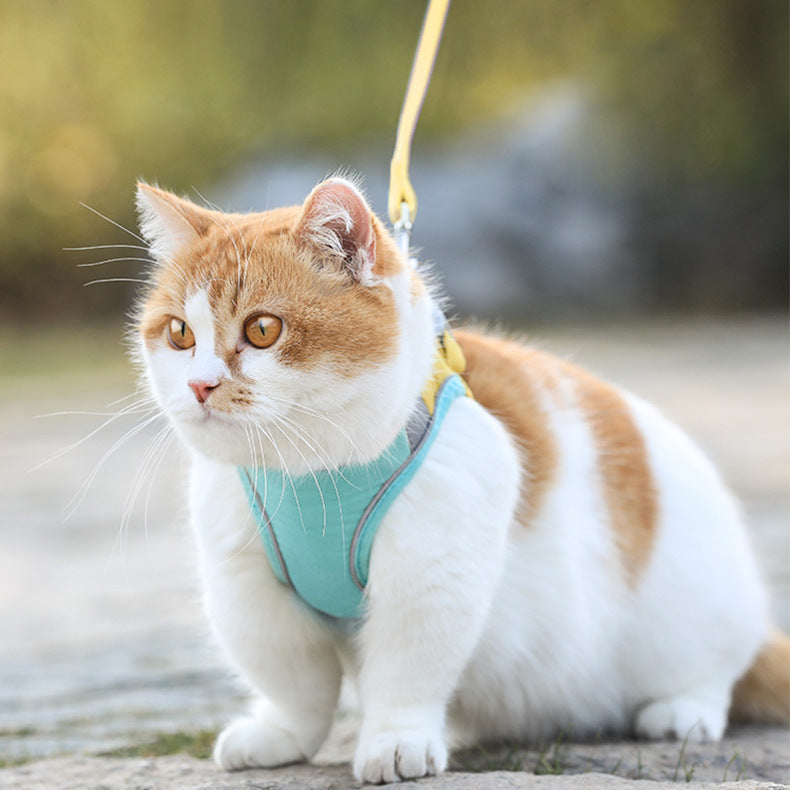 Adjustable Cat Harness and Leash Set