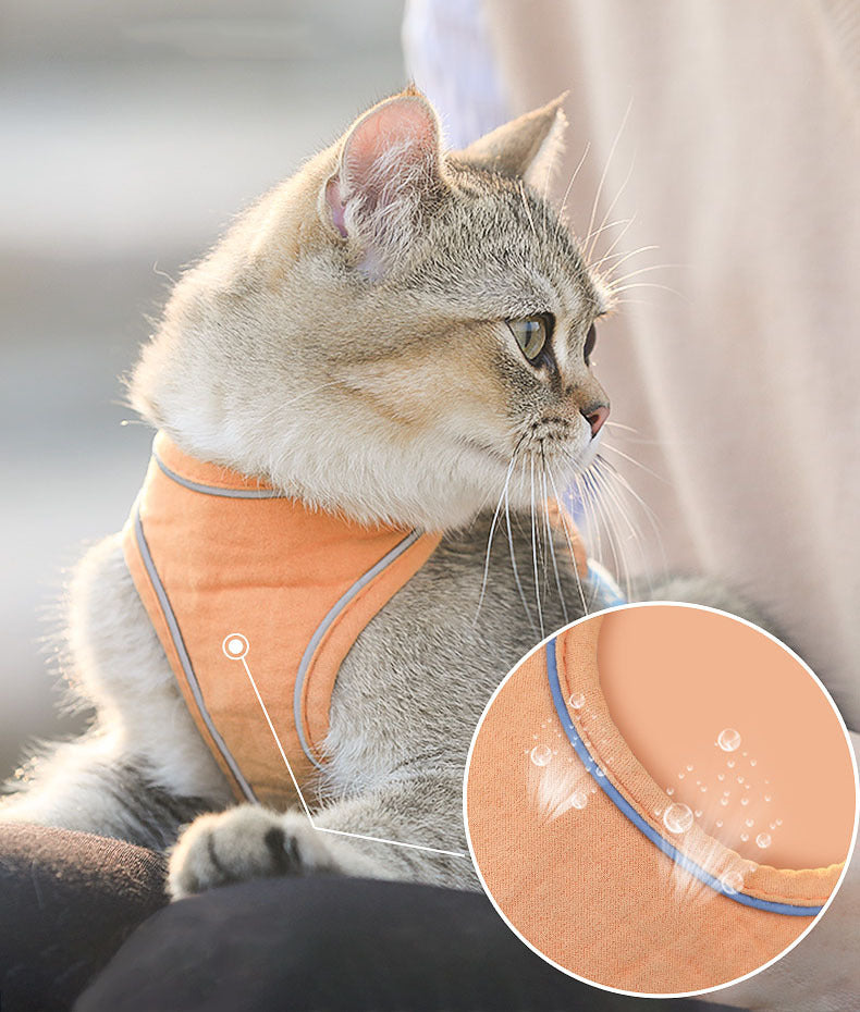Adjustable Cat Harness and Leash Set
