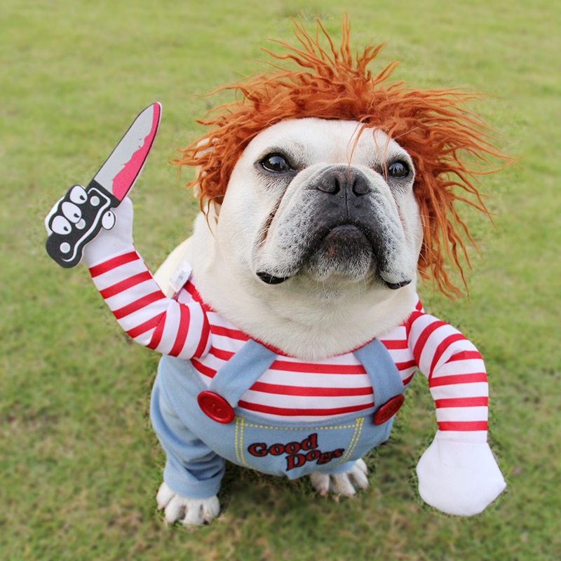 Funny Halloween Dog Costume - Tailiss