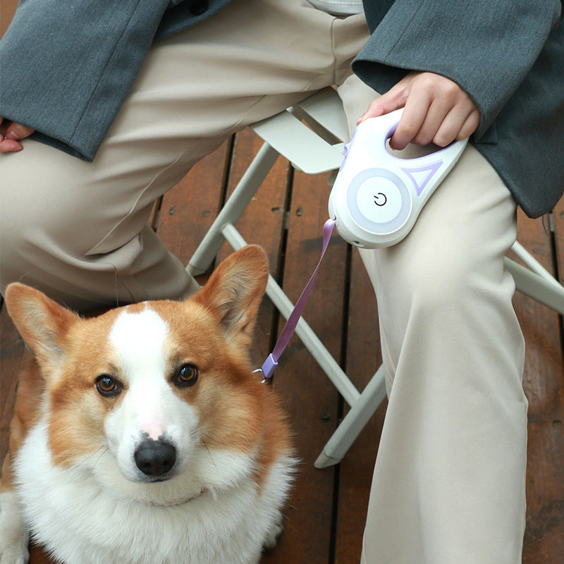 Retractable Dog Leash with Collar - Tailiss