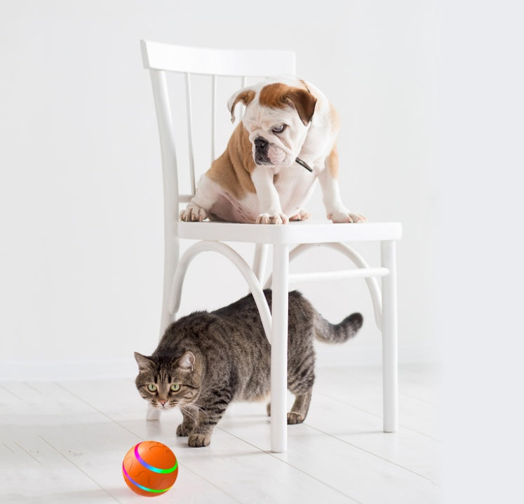 Intelligent Self-Rotating Pet Ball Toy – USB Rechargeable & Automatic