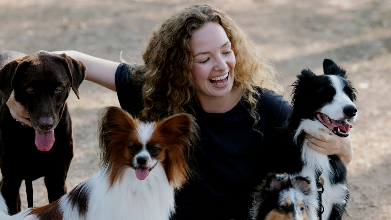 Tailiss online pet store