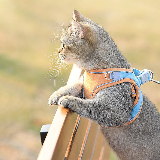 Adjustable Cat Harness and Leash Set