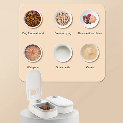 Smart Pet Feeder with Timer - Tailiss