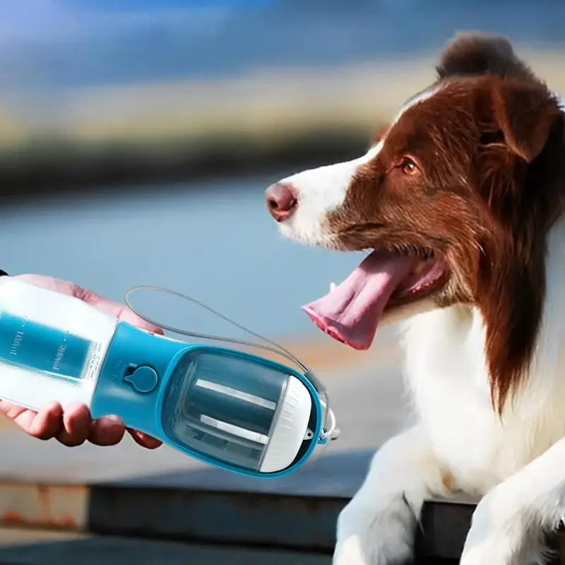3-in-1 Dog Water Bottle - Tailiss