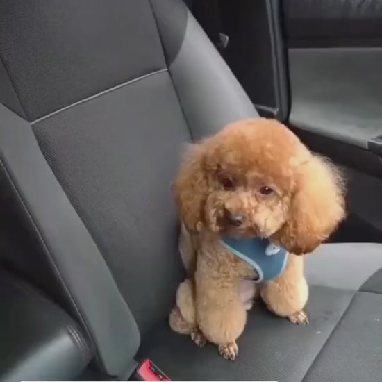 Adjustable Pet Car Seat Belt