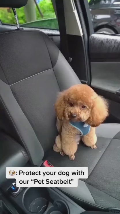 Adjustable Pet Car Seat Belt