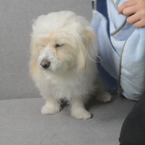 Quick-Dry Microfiber Pet Bath Towel & Bathrobe