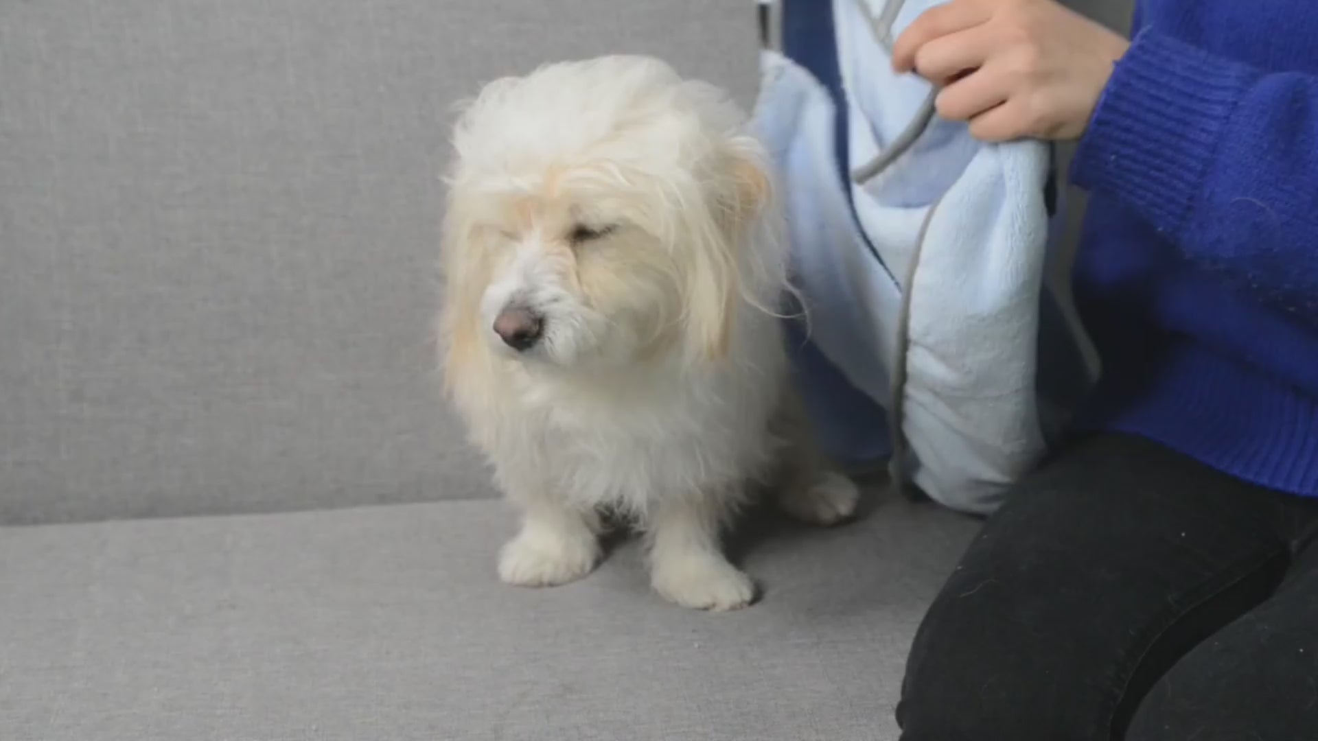 Quick-Dry Microfiber Pet Bath Towel & Bathrobe