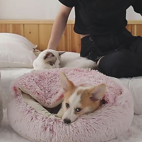2-in-1 Plush Round Pet Bed