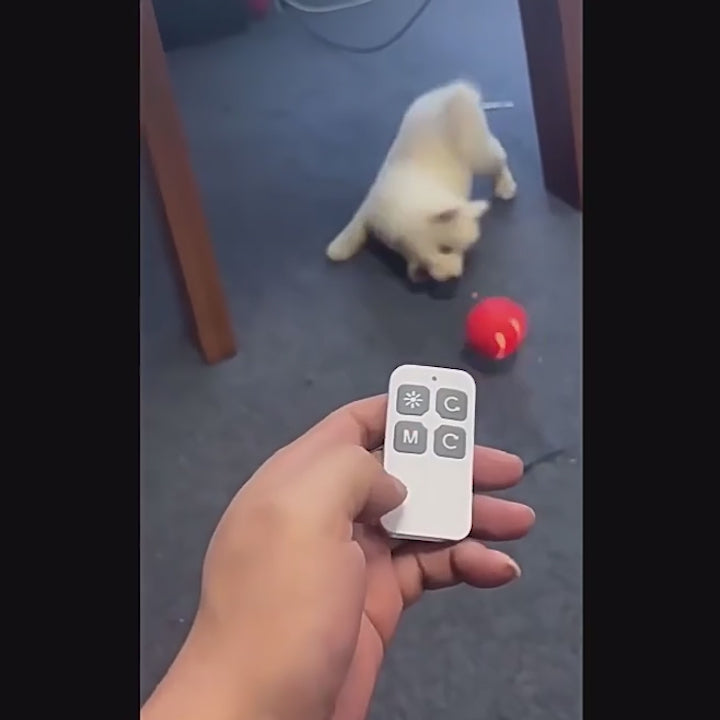 Intelligent Self-Rotating Pet Ball Toy – USB Rechargeable & Automatic