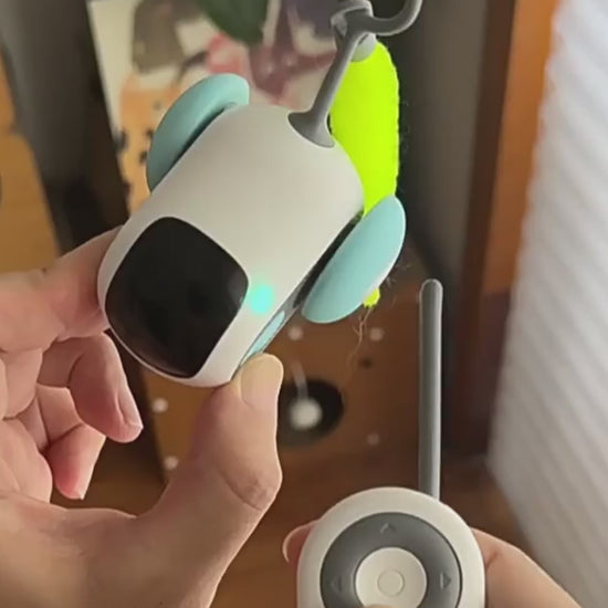 Remote Control Interactive Cat Car Toy - USB Rechargeable