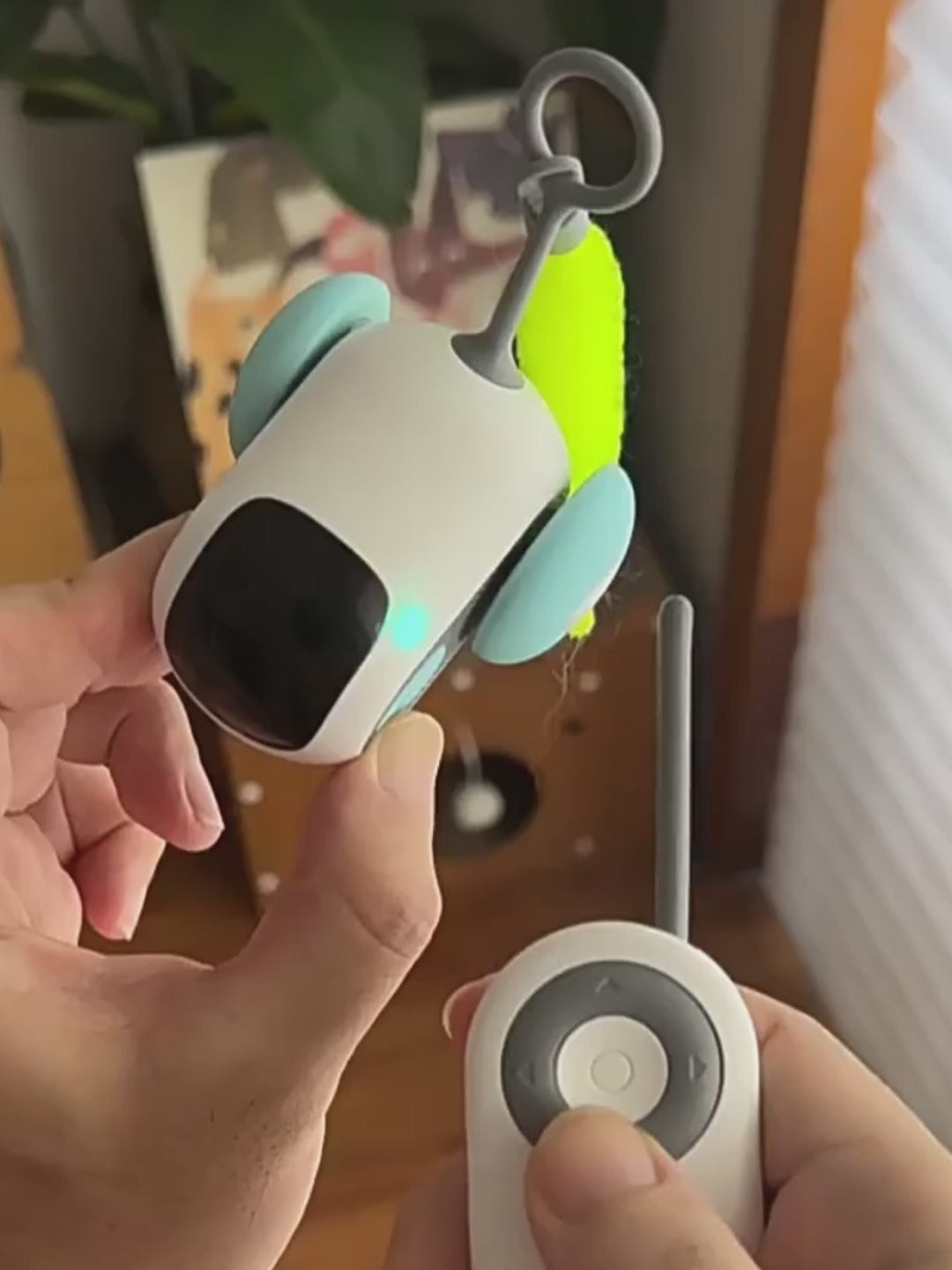 Remote Control Interactive Cat Car Toy - USB Rechargeable