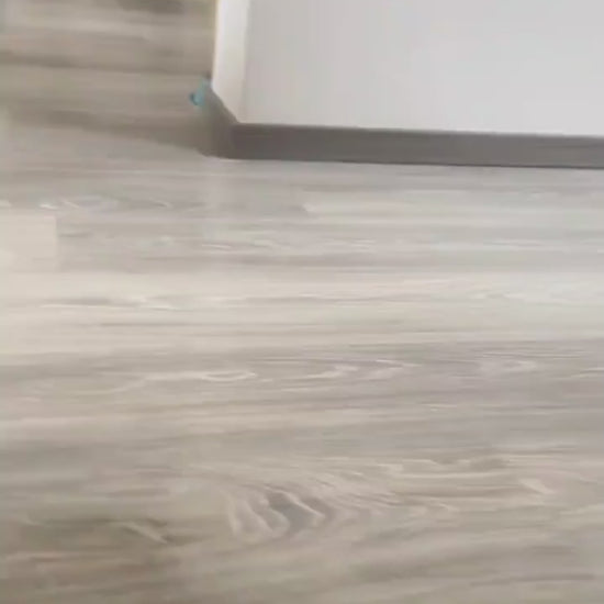 Funny Halloween Dog Costume