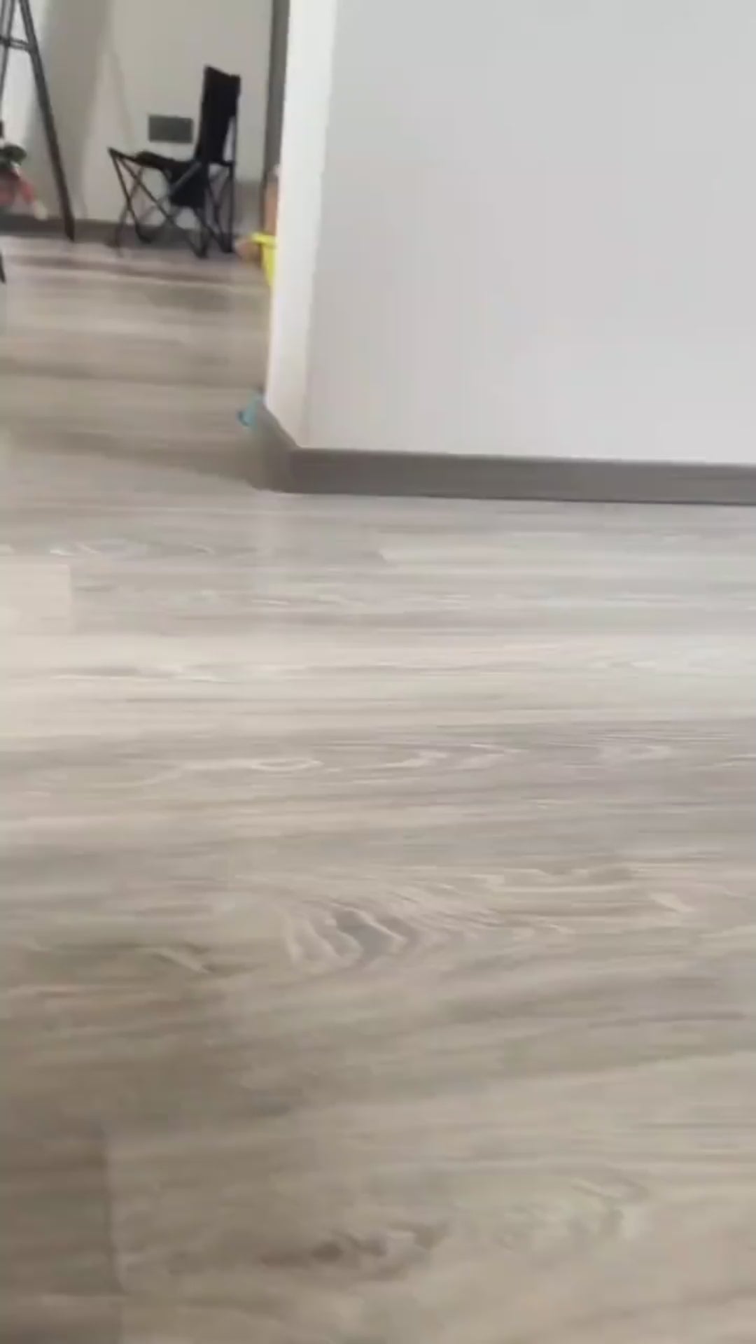 Funny Halloween Dog Costume