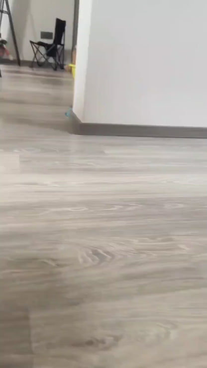 Funny Halloween Dog Costume