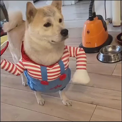 Funny Halloween Dog Costume