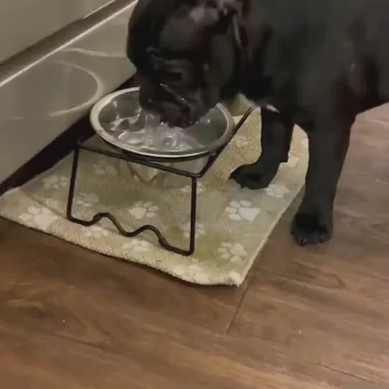 Portable No-Spill Floating Dog Water Bowl
