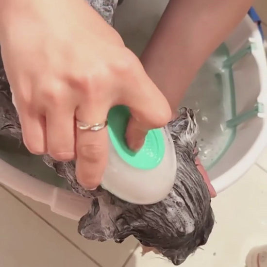 2-in-1 Dog & Cat Silicone Bath Brush