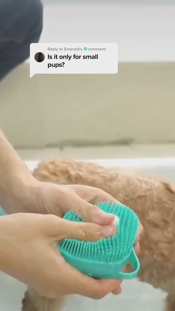 Silicone Pet Bath and Massage Glove