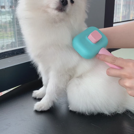 Pet Hair Brush & Massage Comb & Knot Remover Tool