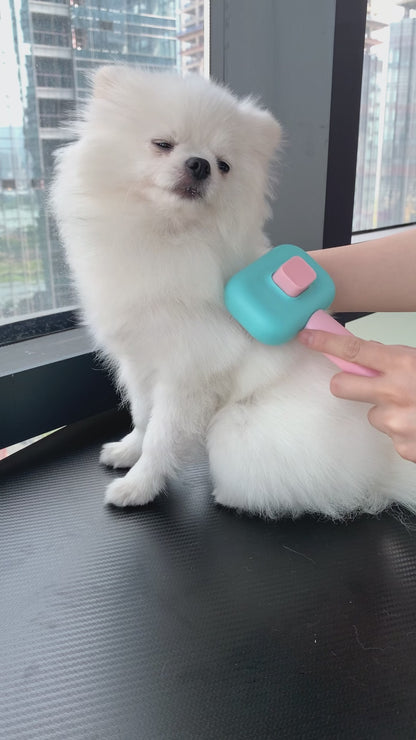 Pet Hair Brush & Massage Comb & Knot Remover Tool