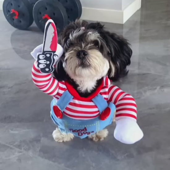 Funny Halloween Dog Costume