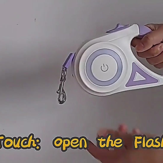 Retractable Dog Leash with Collar