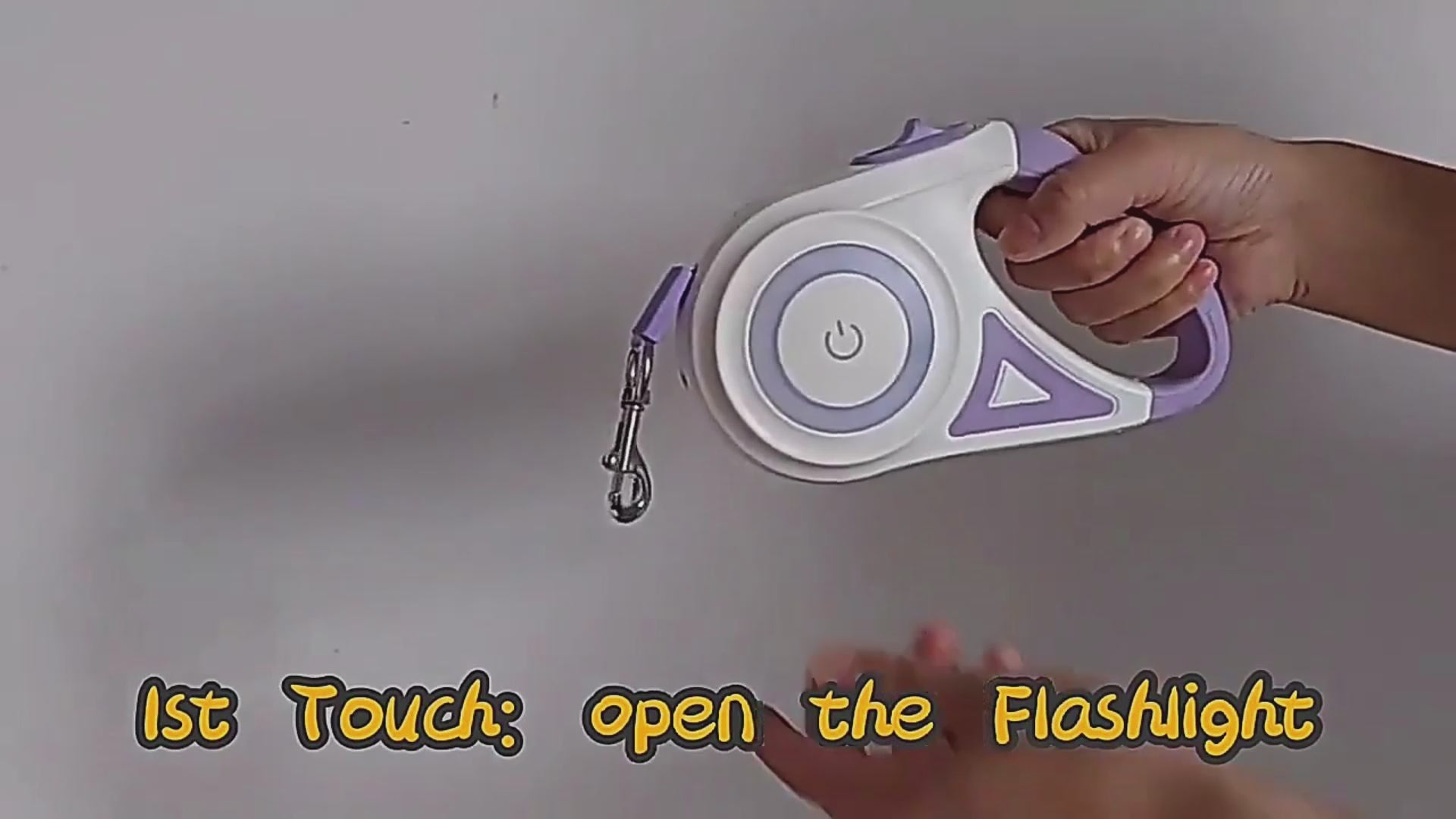 Retractable Dog Leash with Collar