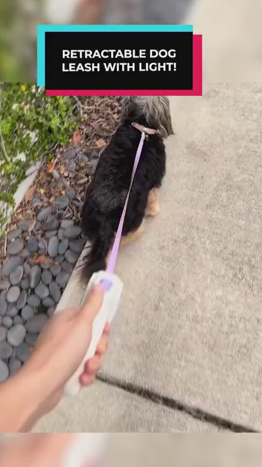 Retractable Dog Leash with Collar