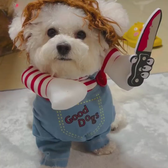 Funny Halloween Dog Costume