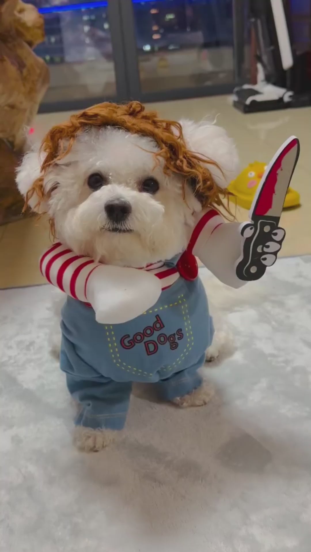 Funny Halloween Dog Costume