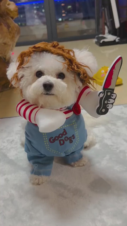 Funny Halloween Dog Costume