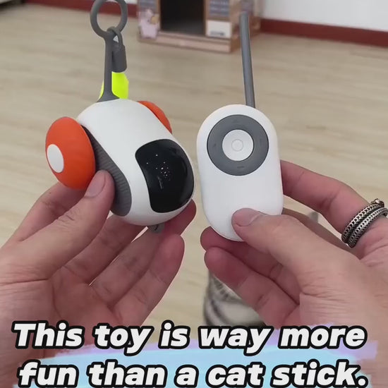 Remote Control Interactive Cat Car Toy - USB Rechargeable