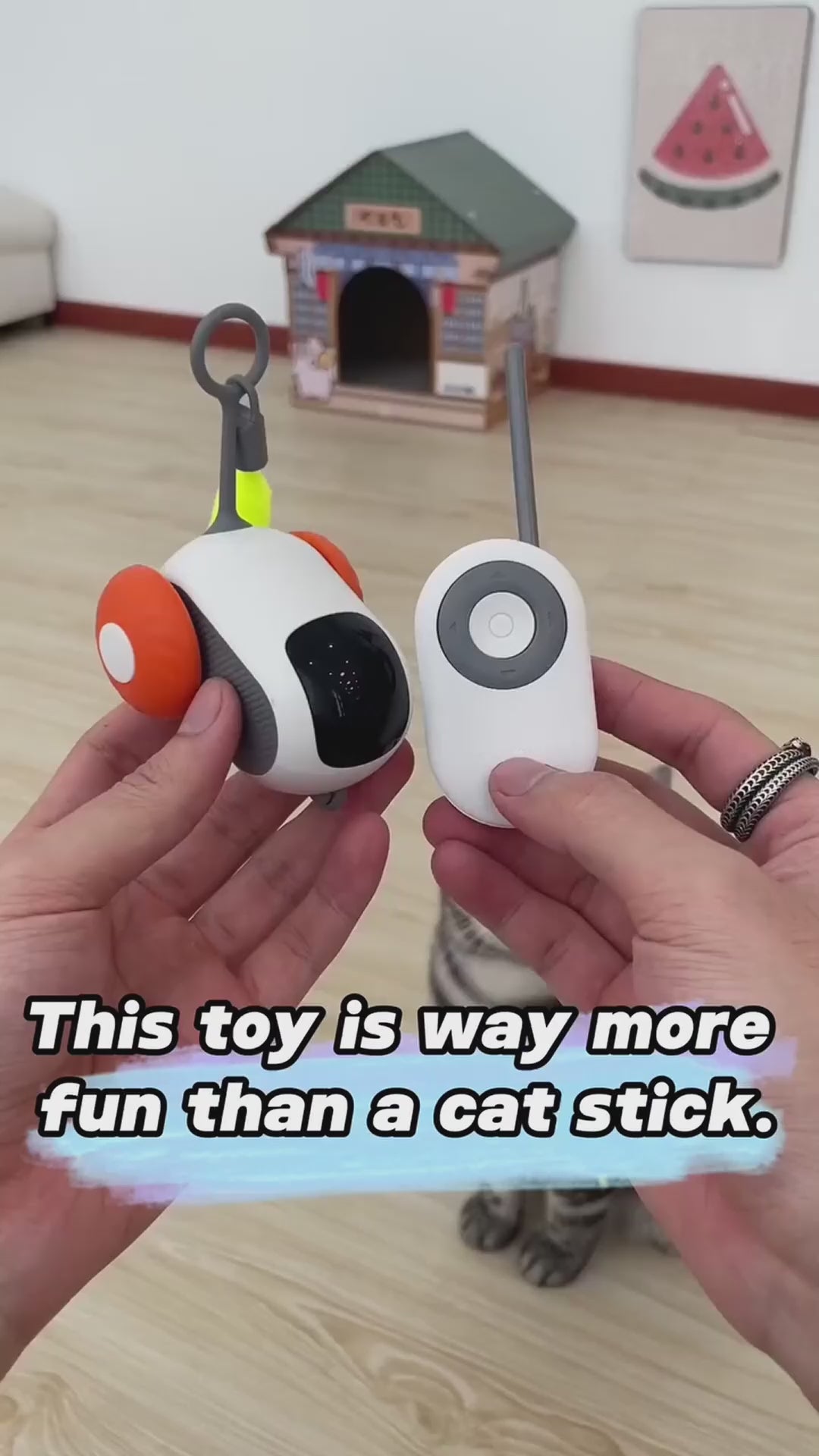 Remote Control Interactive Cat Car Toy - USB Rechargeable